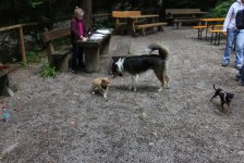 53_gc_stammtisch_30_20150506